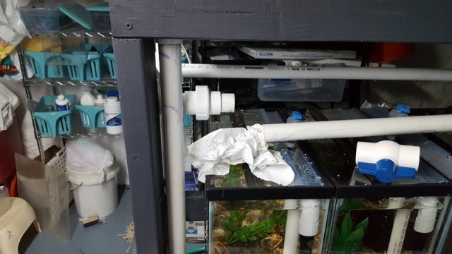 20170506_183812.jpg