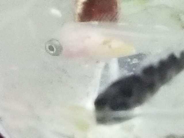 20170507_170421.jpg
