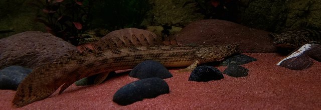 20170508_153832.jpg