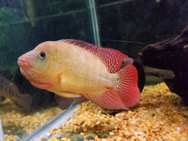 20170430_205957.jpg
