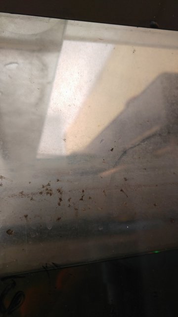 20170509_131058.jpg 20170509_131058.jpg