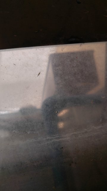 20170509_131158_HDR.jpg 20170509_131158_HDR.jpg