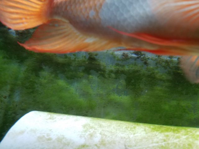 20170508_215134.jpg 20170508_215134.jpg