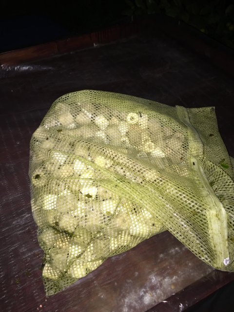 image.jpeg