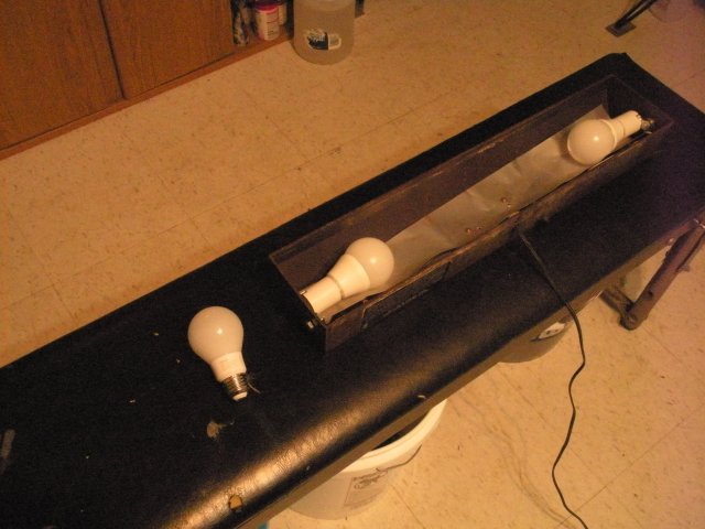 DSCN8047.JPG