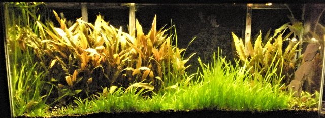 DSCN8067.JPG