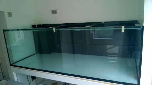 WP_20170513_16_01_28_Pro.jpg WP_20170513_16_01_28_Pro.jpg