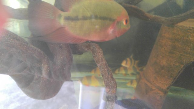 20170514_125752.jpg