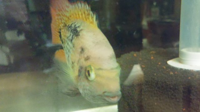 20170514_015203.jpg 20170514_015203.jpg