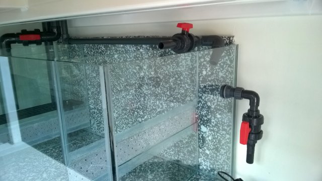 WP_20170514_14_38_10_Pro.jpg WP_20170514_14_38_10_Pro.jpg