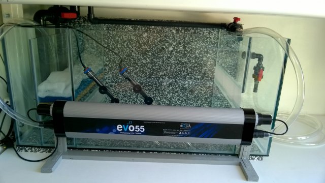 WP_20170514_14_51_22_Pro.jpg WP_20170514_14_51_22_Pro.jpg