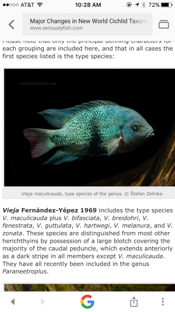 IMG_3851.PNG IMG_3851.PNG