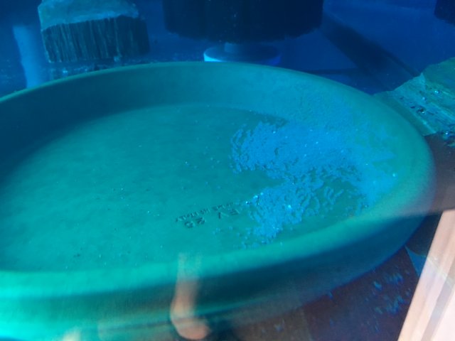 IMG_4402.JPG IMG_4402.JPG