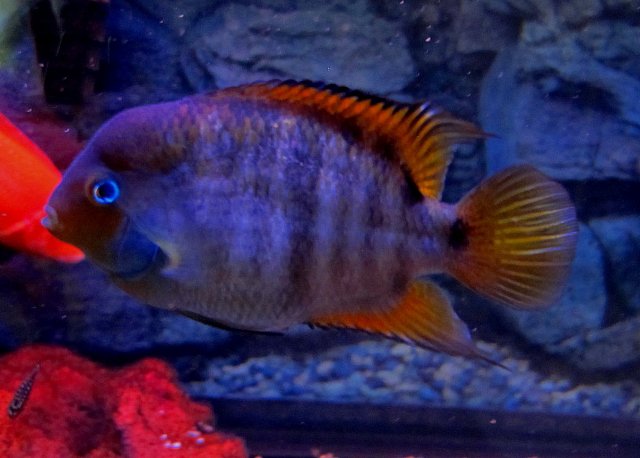 IMG_7370.JPG IMG_7370.JPG