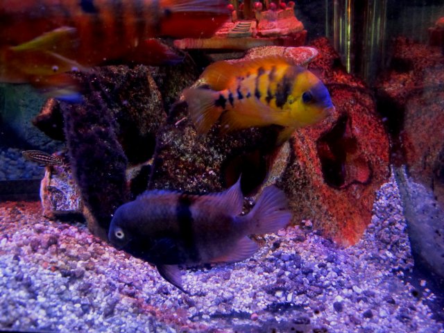 IMG_7357.JPG IMG_7357.JPG