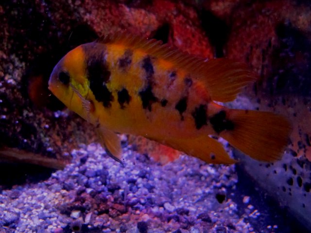 IMG_7363.JPG IMG_7363.JPG