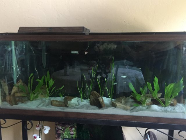 IMG_2748.JPG IMG_2748.JPG