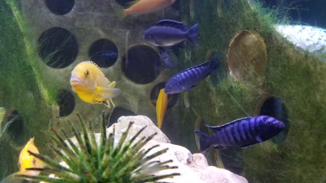 20170515_181337.jpg
