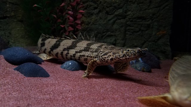 20170515_072012.jpg