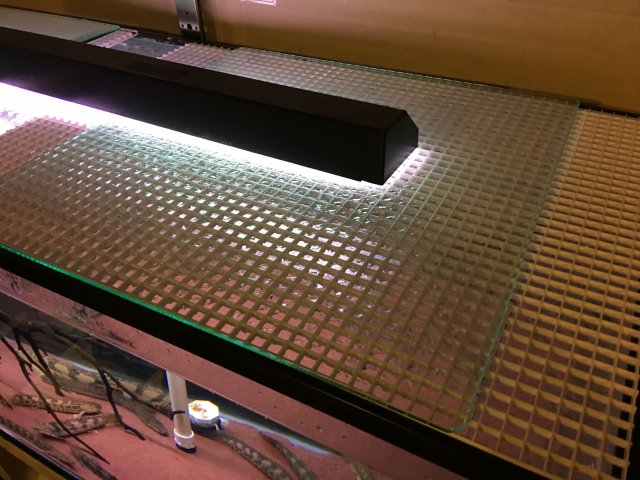 IMG_5249.JPG IMG_5249.JPG