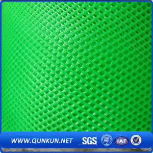 IMG_5369.JPG IMG_5369.JPG