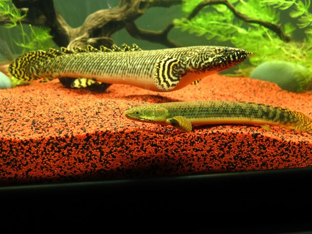 IMG_0881.JPG IMG_0881.JPG