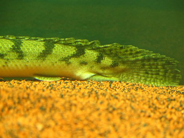 IMG_0882.JPG IMG_0882.JPG