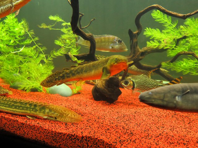 IMG_0884.JPG IMG_0884.JPG