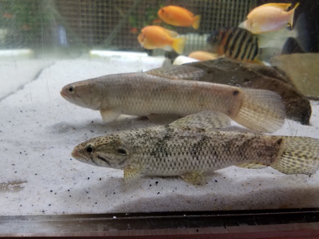 20170518_115347.jpg