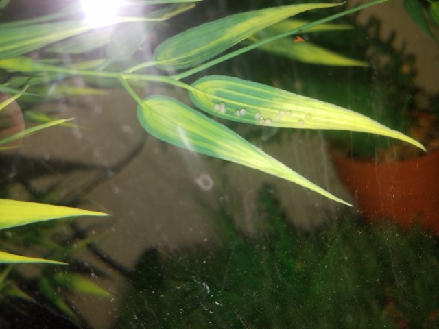 20170518_215345.jpg
