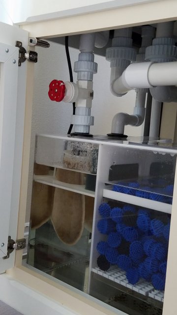 20170520_194041.jpg