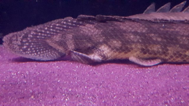 20170521_102635.jpg