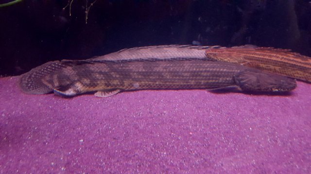 20170521_102602.jpg