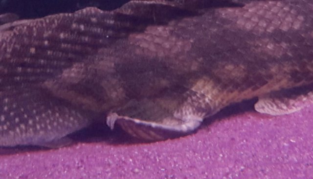 20170521_102747.jpg