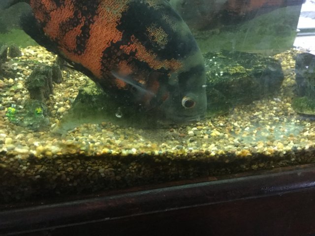 image.jpeg image.jpeg