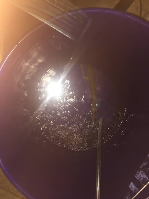 moke in a bucket.jpg