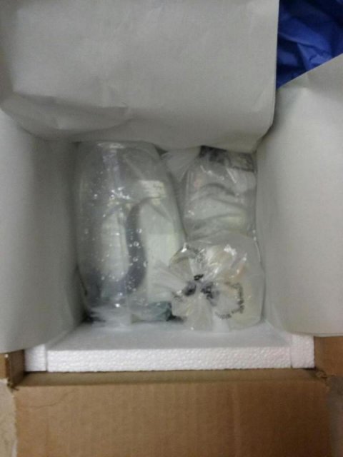 polys in a box.jpg