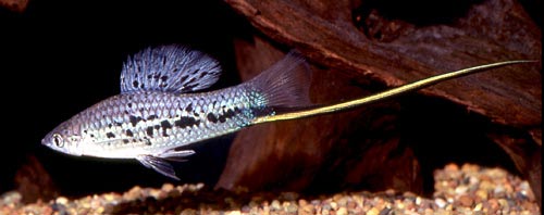 2a14ce7be4d74cf96a5cb0340acb8a19.jpg 2a14ce7be4d74cf96a5cb0340acb8a19.jpg