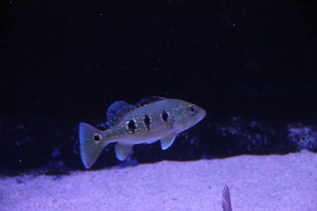 IMG_7702.JPG IMG_7702.JPG