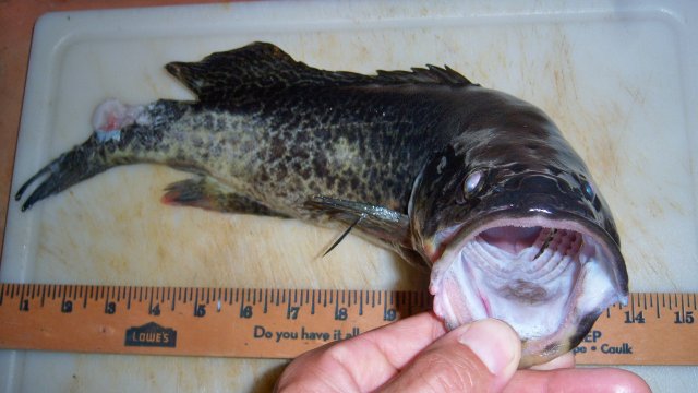 100_7555.JPG 100_7555.JPG