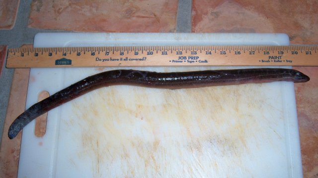 100_7608.JPG 100_7608.JPG