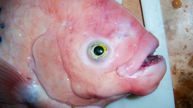 100_7626.JPG 100_7626.JPG