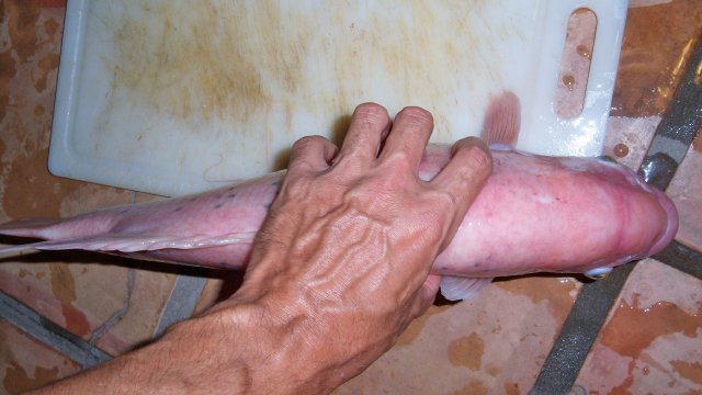 100_7628.JPG 100_7628.JPG