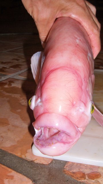 100_7632.JPG 100_7632.JPG