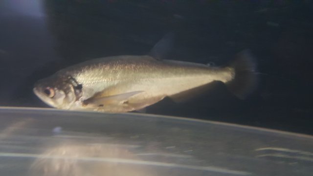 20161124_174707.jpg 20161124_174707.jpg