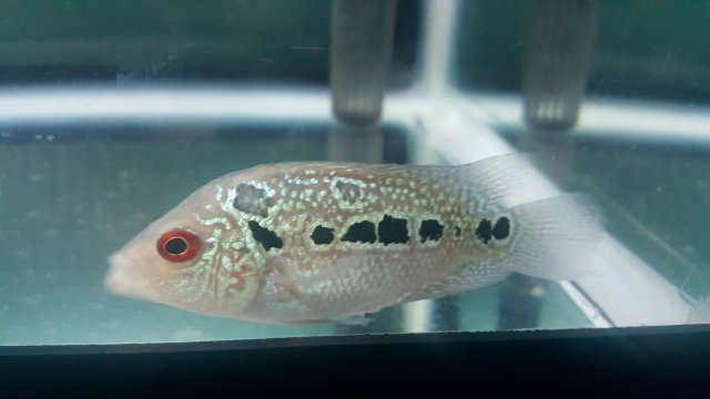 20170529_124710.jpg