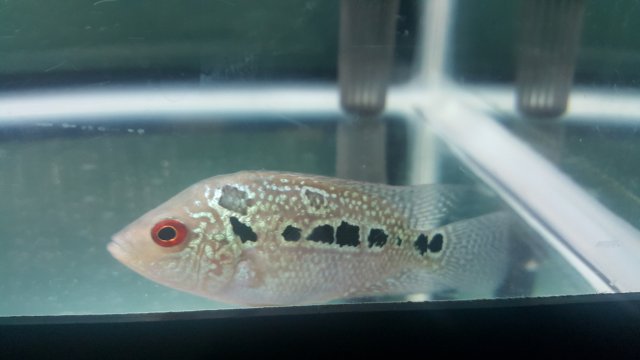 20170529_124712.jpg