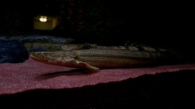 20170529_182056.jpg