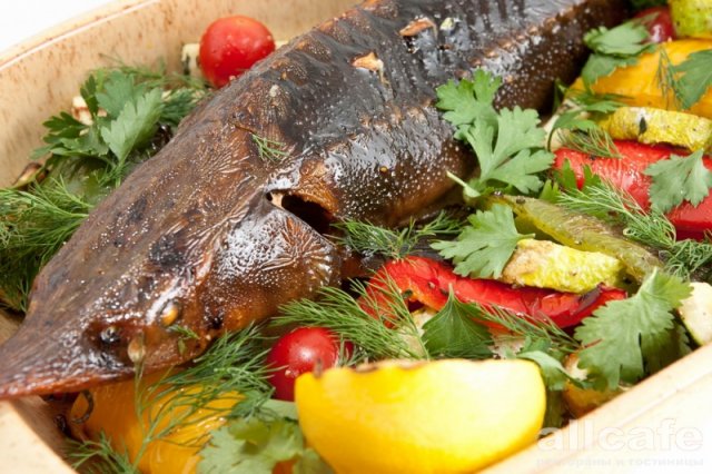 15081a3ad8bd639c840041e7045b47e9ea301dfd.jpg 15081a3ad8bd639c840041e7045b47e9ea301dfd.jpg