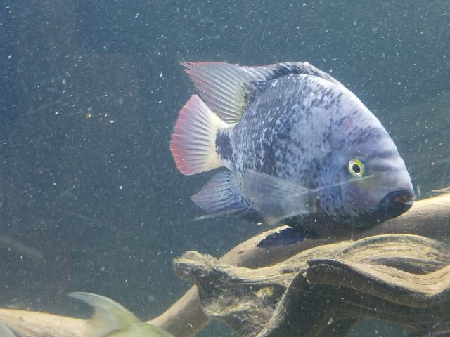 20170530_204345.jpg